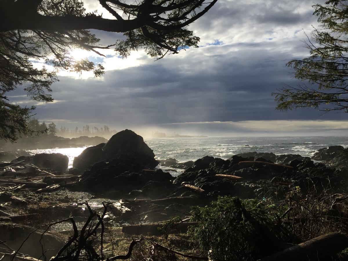 The Francis Boutique Inn Ucluelet Dış mekan fotoğraf