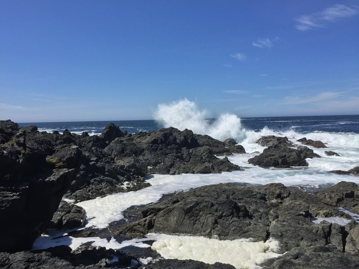 The Francis Boutique Inn Ucluelet Dış mekan fotoğraf