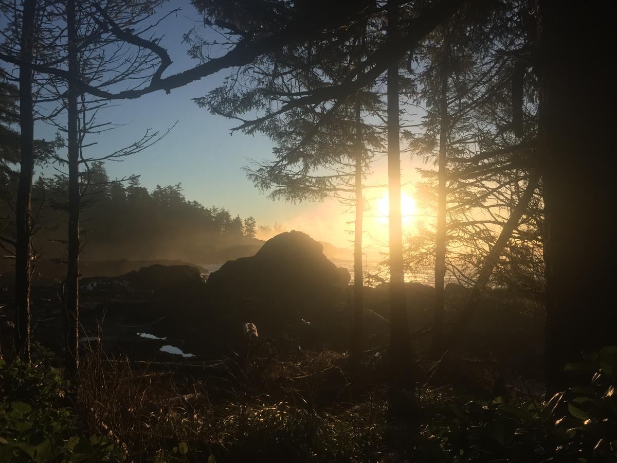 The Francis Boutique Inn Ucluelet Dış mekan fotoğraf